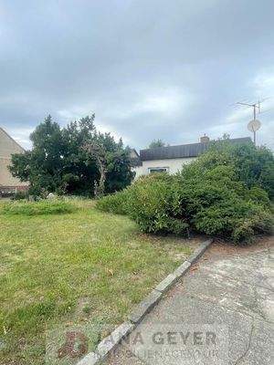 Objektansicht, vorderer Bereich Grundstück.