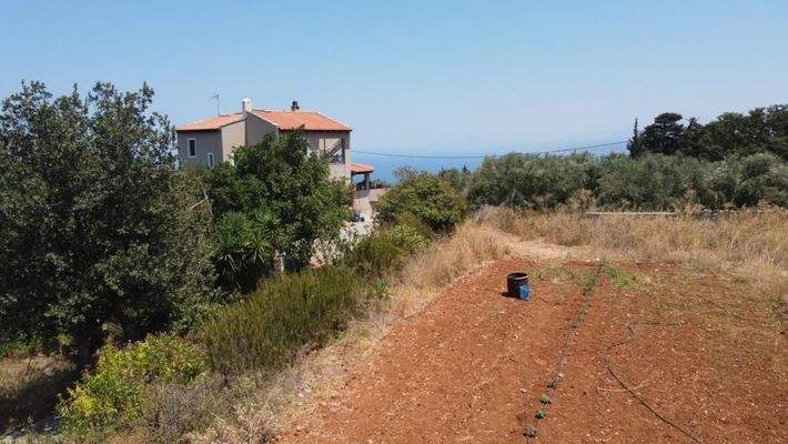 Kreta, Sellia im Apokoronos: Grundstück mit Meerblick in Sellia zu verkaufen