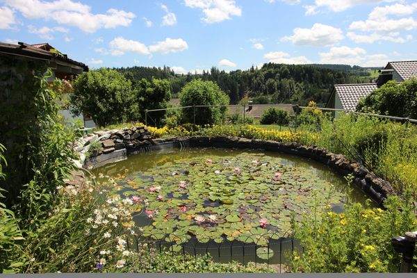 Gartenteich