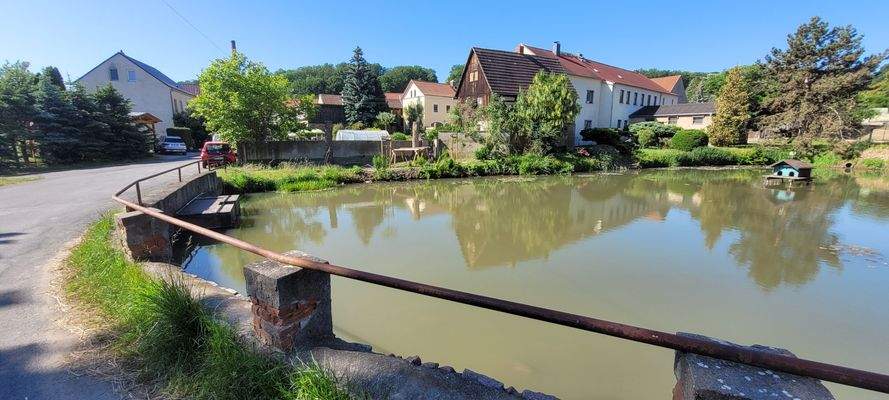 Der schöne Seerosendorfteich