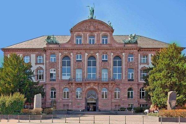 Senckenberg Museum.jpg
