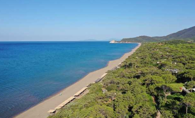 Screenshot 2025-04-28 095050.png