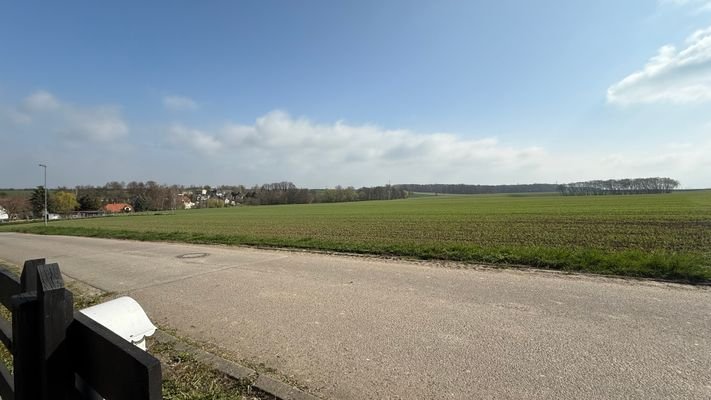 Außenansicht und Grundstück