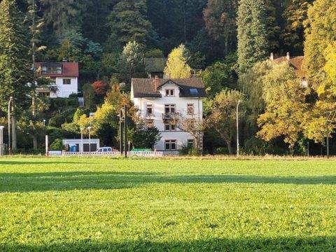 Freiburg im Breisgau Wohnungen, Freiburg im Breisgau Wohnung kaufen