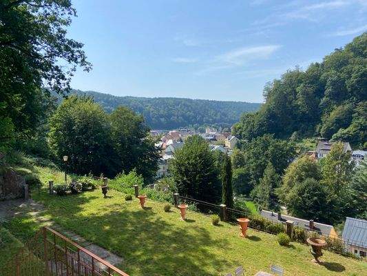 Blick auf das Grundstück mit Terrasse