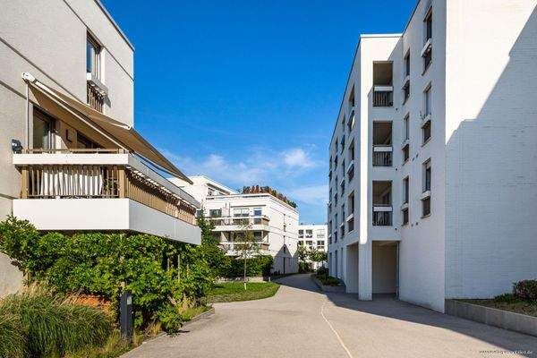 gepflegte Außenanlage