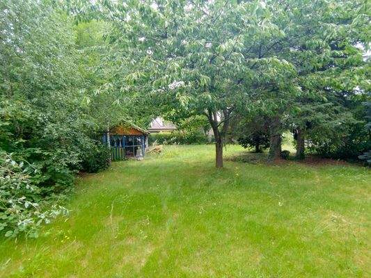 Gartenblick zum anderen Ende des Grundstücks