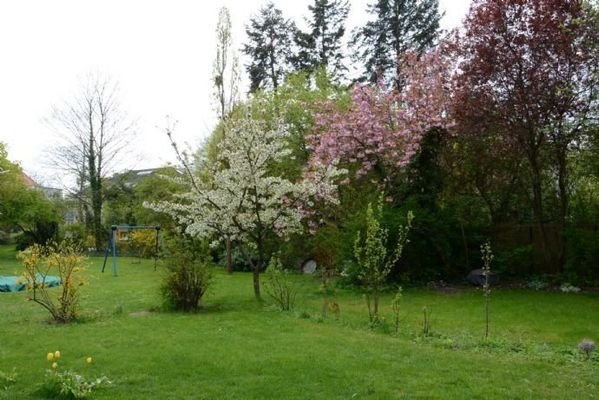 Wunderschöner Garten mit Spielgeräten