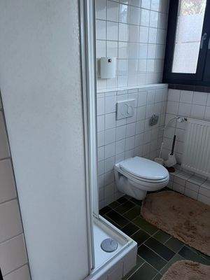 WhatsApp Image 2026-02-17 at 14.41.13 (7)