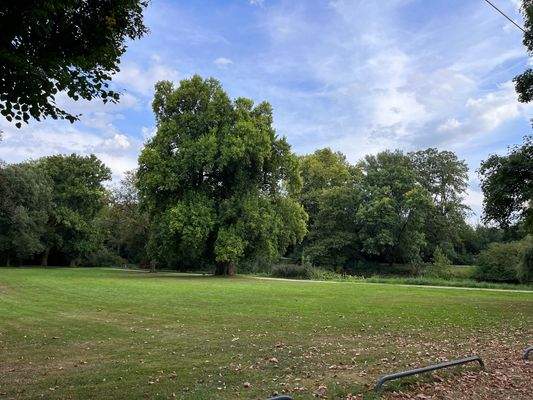 Lage am Greiffenhorstpark Krefeld-Linn