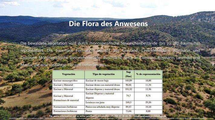 La Nueva Merced - Expose LRI - Deutsch-21.jpg