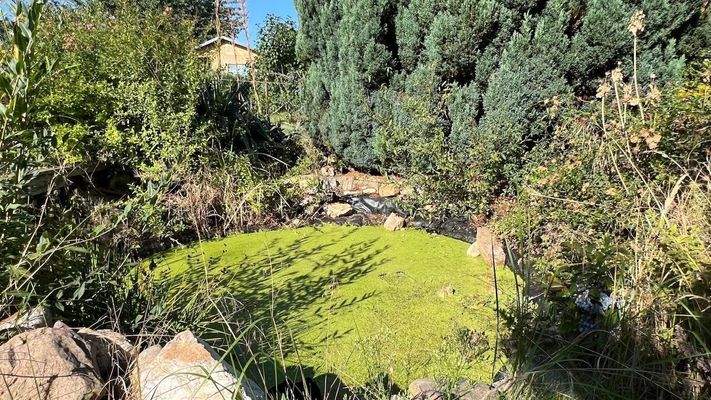 Garten mit kl. Teich