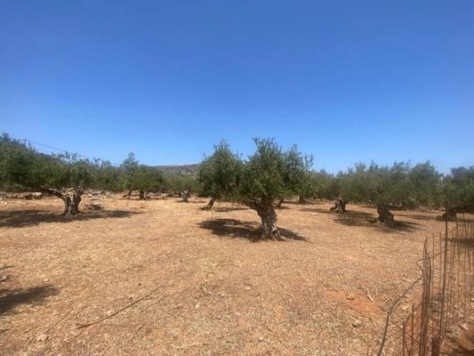 Kreta, Drapanos: Grundstück zu verkaufen im Dorf Drapanos