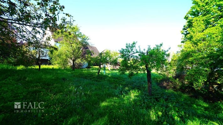 (Bau-)Grundstück hinten Haus Fläche