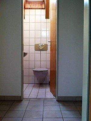 Gäste-WC mit neuem Dachflächenfenster.