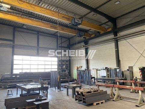 Bretzfeld Halle, Bretzfeld Hallenfläche