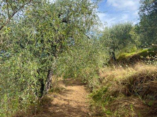 AP976_28 TERRA ITALIA IMMOBILIEN_TERRA ITALIA IMMO