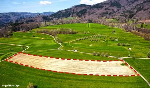 Schopfheim Grundstücke, Schopfheim Grundstück kaufen