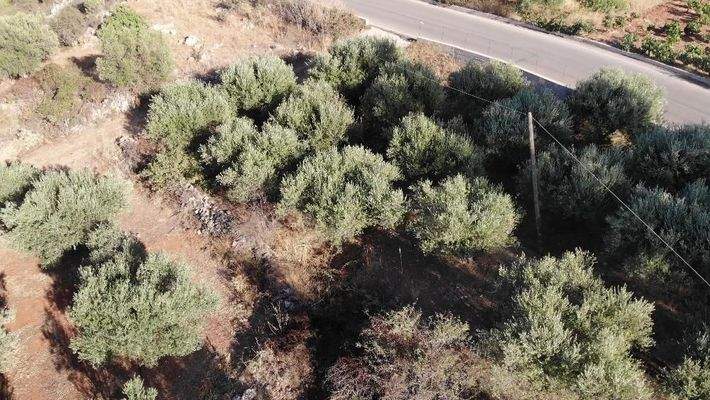 Kreta, Xirosterni: Grundstück in ruhiger Lage mit Berg- und Meerblick zu verkaufen