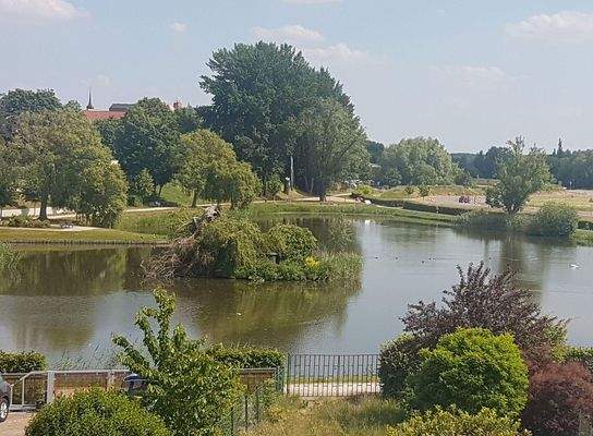 Blick auf den Schwanenteich