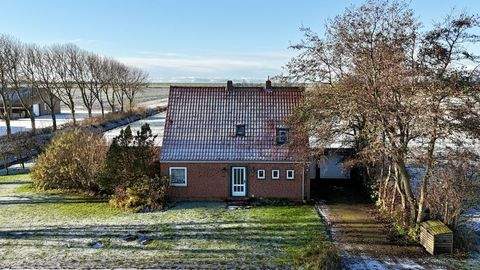 Friedrichskoog Häuser, Friedrichskoog Haus kaufen
