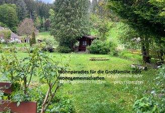 Freifläche hinter dem Haus.jpg