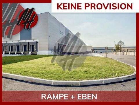 Alzenau Halle, Alzenau Hallenfläche