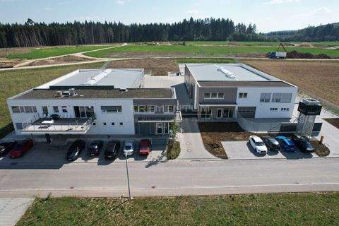 Immendingen Halle, Immendingen Hallenfläche