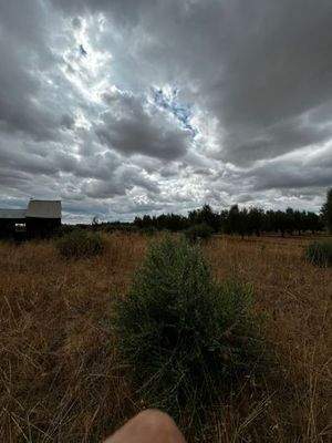 WhatsApp Bild 2025-09-29 um 15.28.34_d6615a17