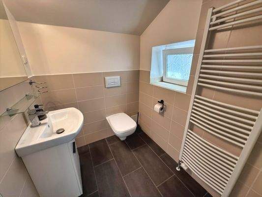 modernes Duschbad im Poolhaus