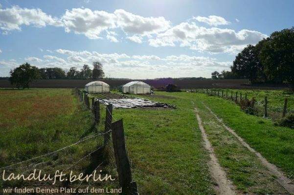 Hinteres Teil vom Grundstück mit Gewächshäusern de