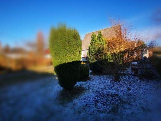 Gebäude,- Grundstücks- Ansichten (3).jpg