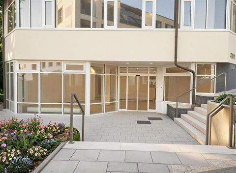 Much Ladenlokale, Ladenflächen 