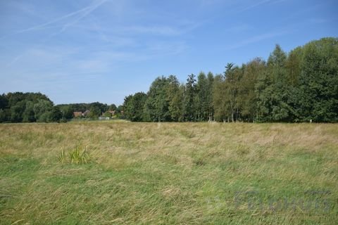 Hesel / Neuefehn Bauernhöfe, Landwirtschaft, Hesel / Neuefehn Forstwirtschaft