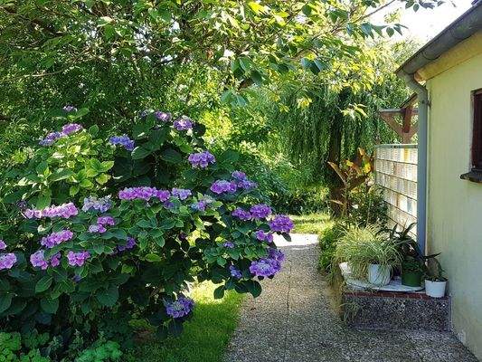 mit einem weitläufigem Garten