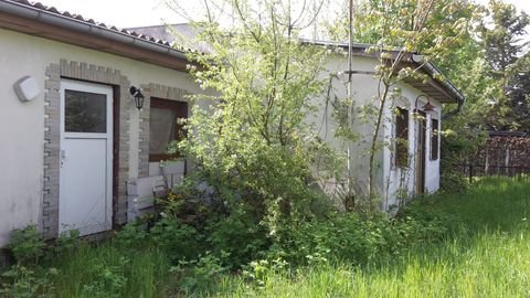 Arendsee (Altmark) Häuser, Arendsee (Altmark) Haus kaufen