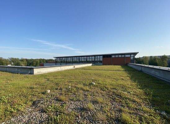 begrünte Dachflächen