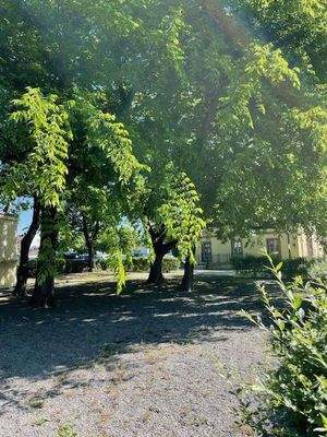 Biergartenfläche für 250-300 P