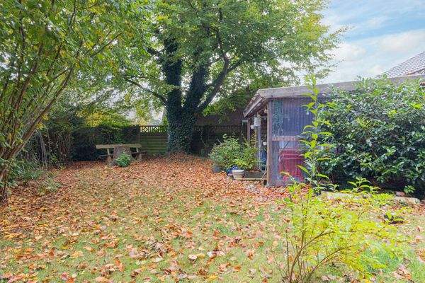 Garten hinter dem Haus / Terrasse