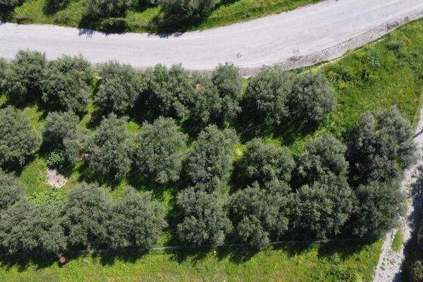 Kreta, Tavronitis: Erstklassiges Grundstück in der Nähe des Strandes zu verkaufen