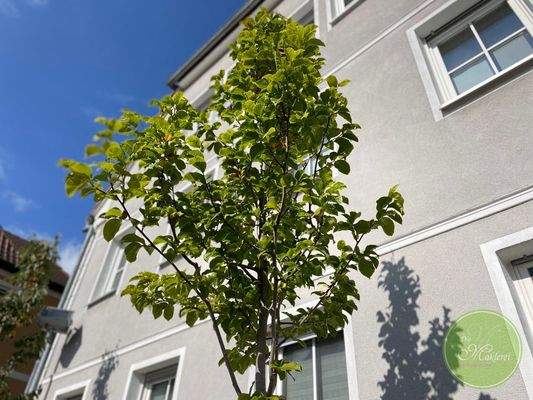 Die Lebensqualtität direkt ...