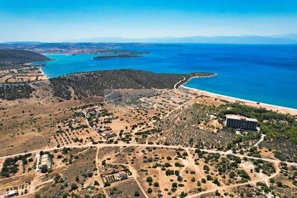 img_110e9b9a-3060-4f2c-9c07-45674139ba0f