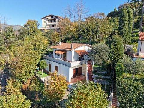 Massarosa-Montigiano Häuser, Massarosa-Montigiano Haus kaufen