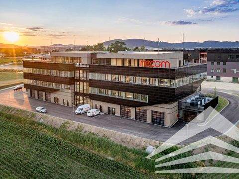 Freistadt Büros, Büroräume, Büroflächen 