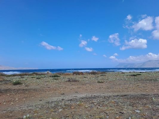 Kreta, Kissamos: Großes Grundstück direkt am Meer 