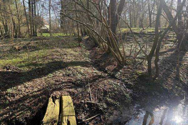 alter Steg über den Bach...