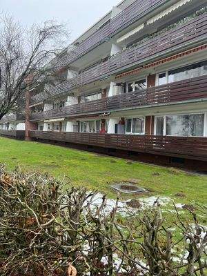 WhatsApp Image 2026-02-07 at 11.42.37 (7)