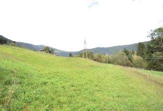 Landwirtschaftlich genutztes Grünland Kauf Arriach Kärnten