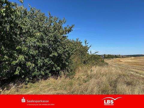 Querfurt Grundstücke, Querfurt Grundstück kaufen