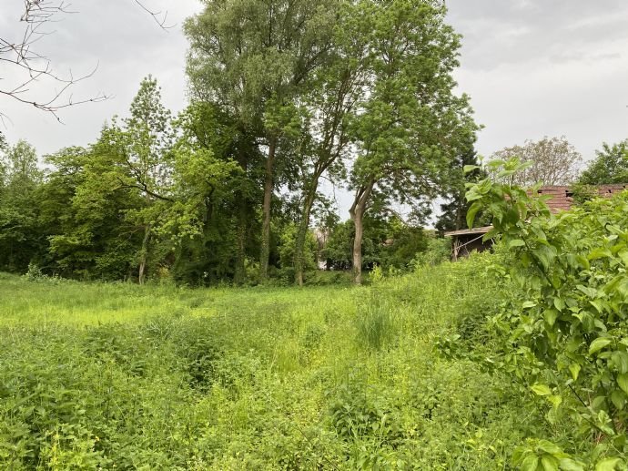 Ehemalige Hofstelle mit kleinem Wohnhaus und großzügigen Gartenland in Hainsfarth